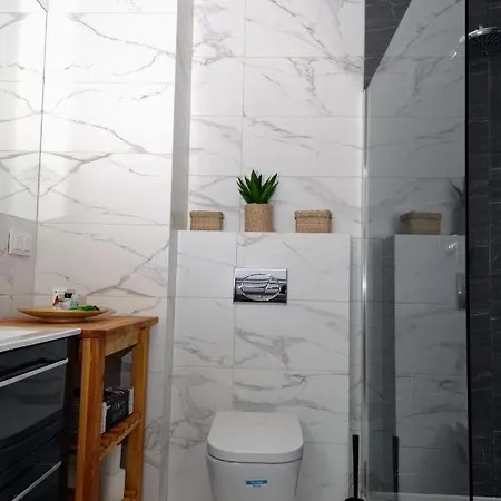 Apartament Royal Gasiorowskich 4 * Poznan